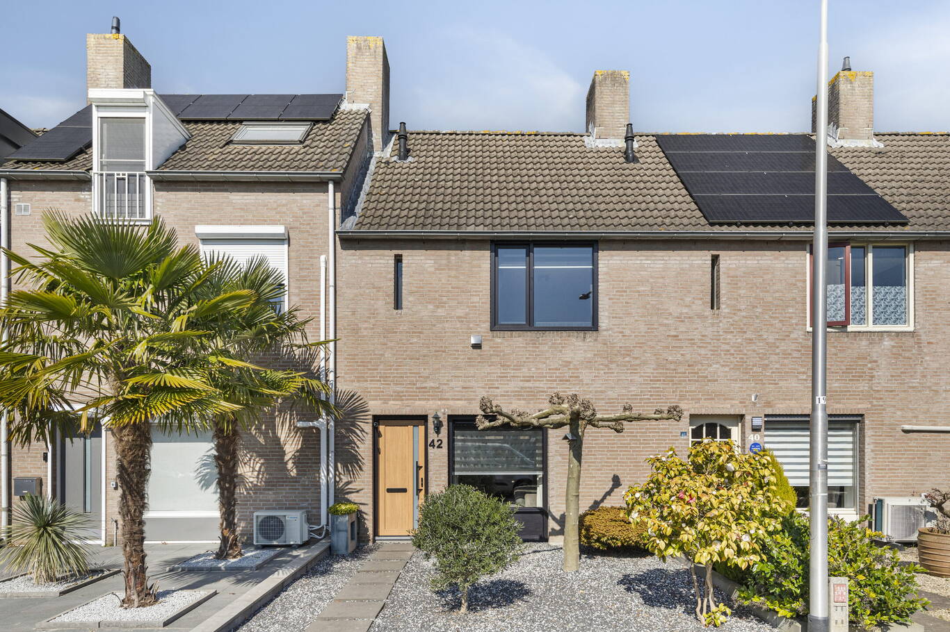 Anemoon 42 UDENHOUT