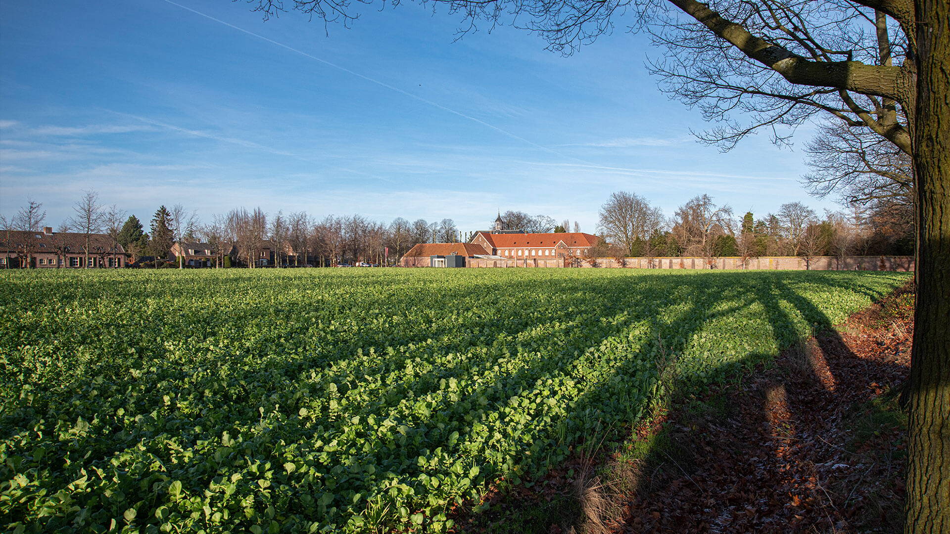 Uden