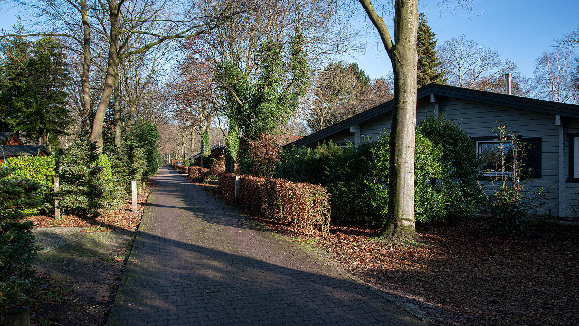 Landgoed Stille Wille