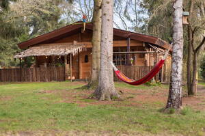 De Stille Wille 214 OOST WEST EN MIDDELBEERS